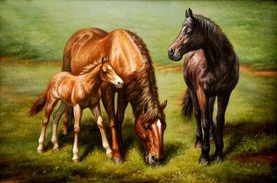 unknow artist Horses 038 oil painting picture